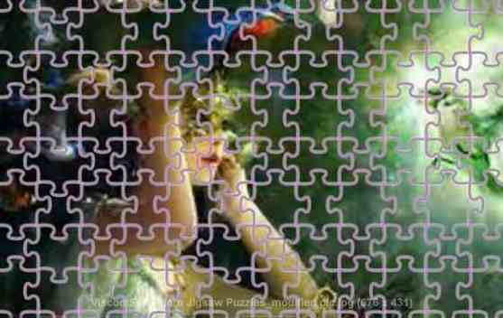 viscomsoft photo jigsaw puzzles