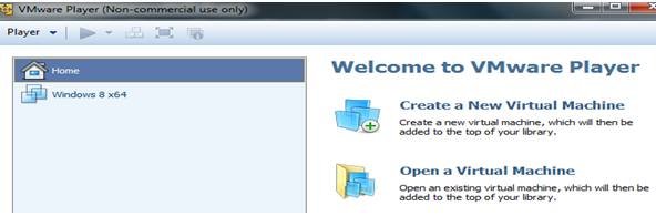 VM_ware player, Windows 8