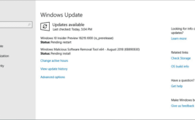 Windows 10 Build 18219