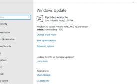 Windows 10 Build 18252 (19H1)