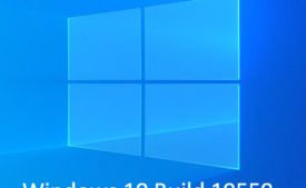 Windows 10 Build 19559