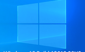 Windows 10 19613