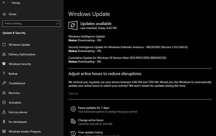 Windows 10 Build 19613.1005 [KB4558320]