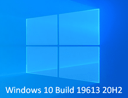 Windows 10 19613