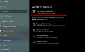 Windows 10 Build 19619.1000