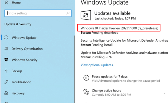 Windows 10 Build 20231.1000 (rs_prerelease)