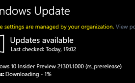 Windows 10 Build 21301.1000
