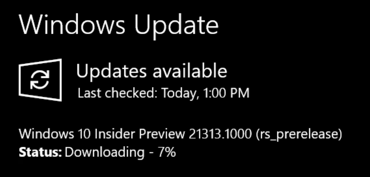 Windows 10 Build 21313.1000