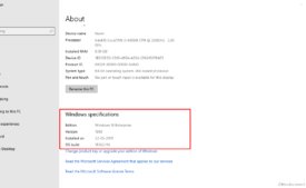 Windows 10 May 2019 Update Version 1903 Issues and Solutions