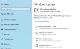 Windows 10 build 19559.1000 20H1 ISO [Download]