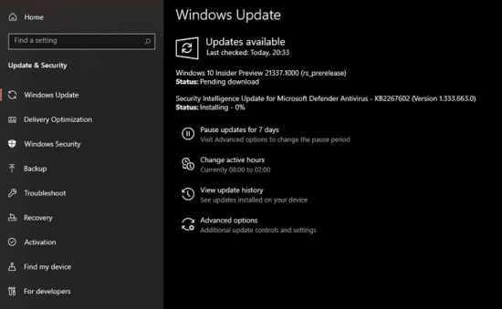 Windows 10 build 21337.1000