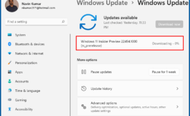 Windows 11 Build 22494.1000