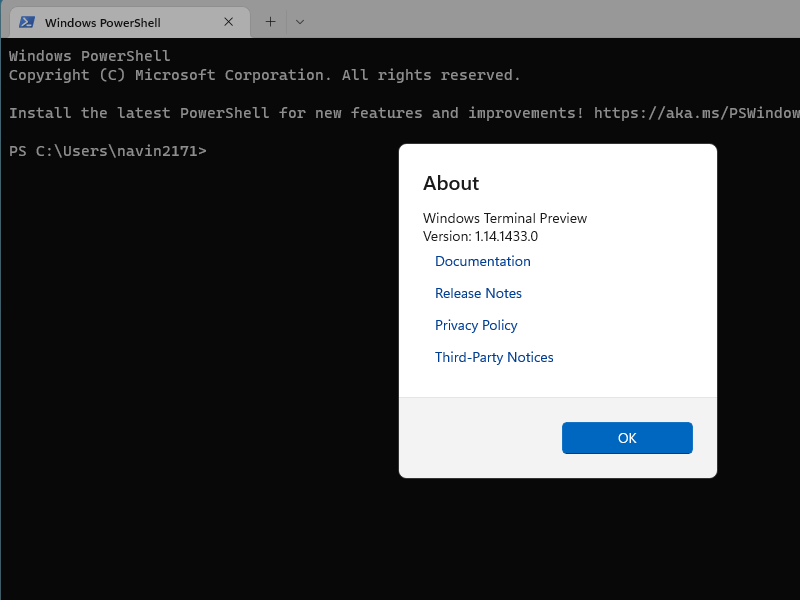 Windows Terminal Preview v1.14.143