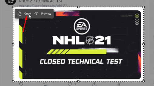 copy and preview on selected area