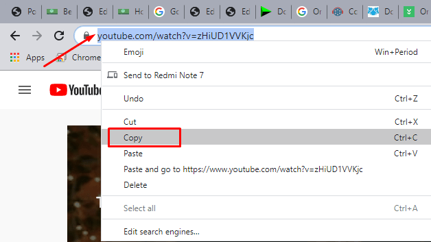 copy video URL from browser address bar