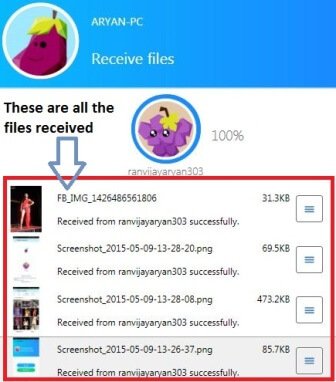 dtails of the transferred files on Pc in shareit