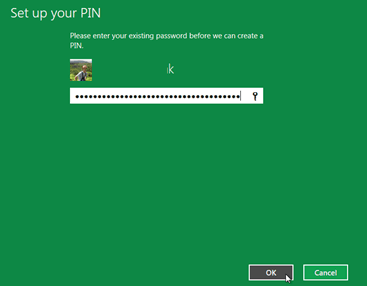 insert-password-to-set-pin-in-windows-8