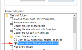 show hidden files, folders, and drivers radio box