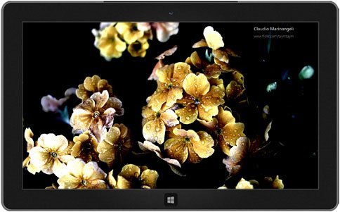 subtle theme New and Brilliant Windows 8 Themes to in Store