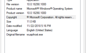 wuapihost.exe in Windows 10 image 1
